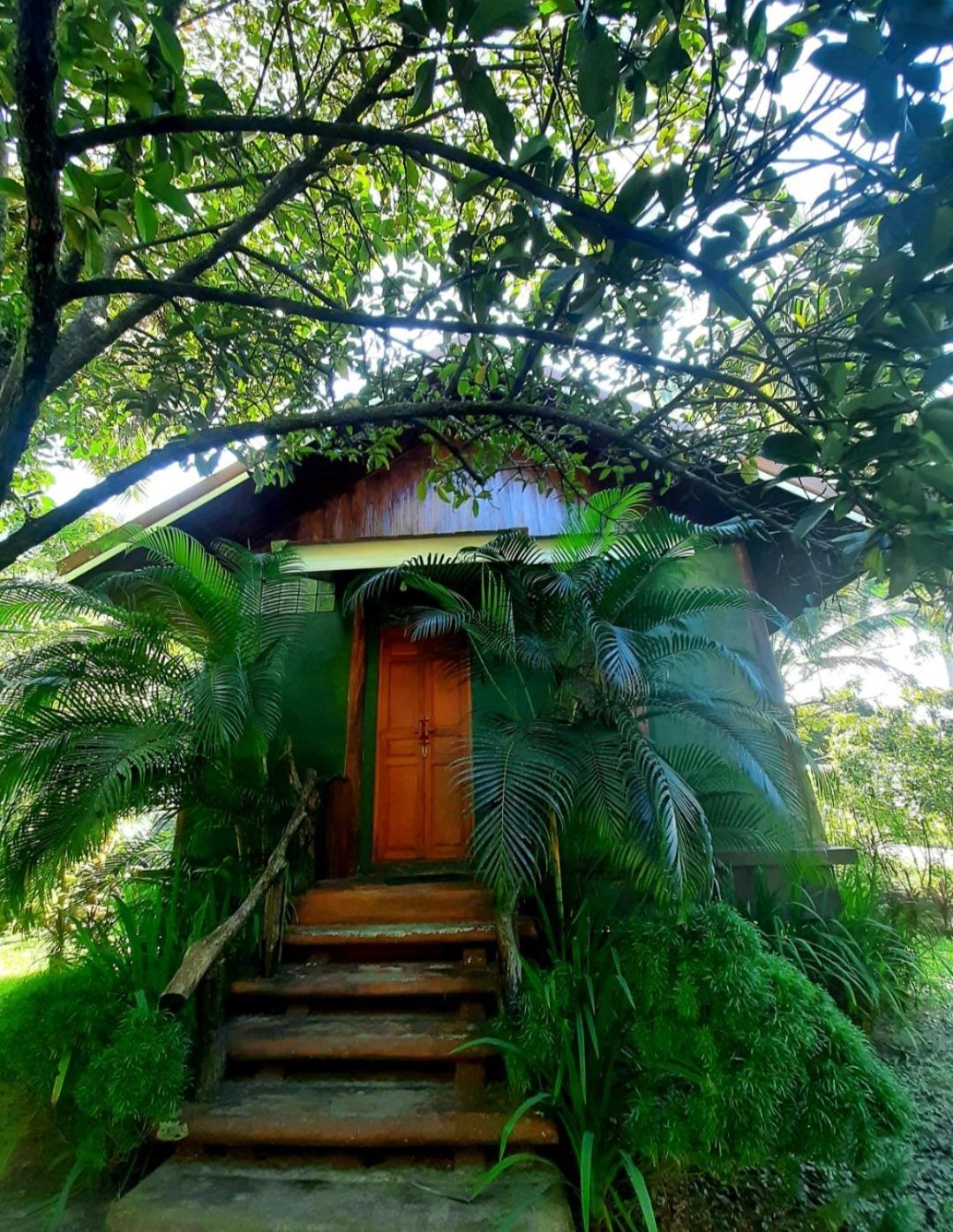 Tuaprodhome Као-Лак Номер фото